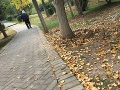 -堤角公园