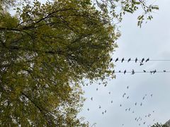 -VOYAGE COFFEE(北锣鼓巷店)