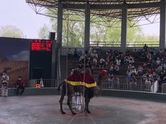 -石家庄市动物园