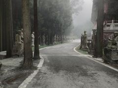 -武陵山森林公园