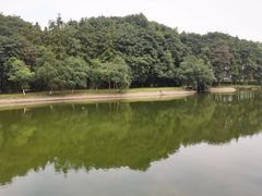 -象山森林公园