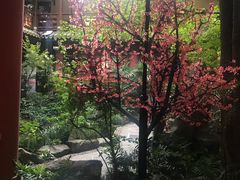 -钦善斋(武侯祠店)
