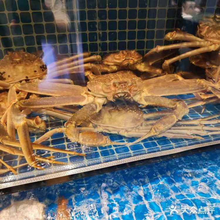 烤肉好吃，海鲜更好吃的朝鲜高端餐厅！