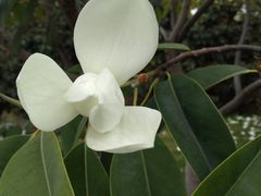 -太湖湖滨国家湿地公园-停车场