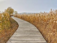 -野鸭湖国家湿地公园