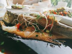 鲈鱼-悦哉·派对·草坪婚礼·围炉煮茶(三圣乡店)