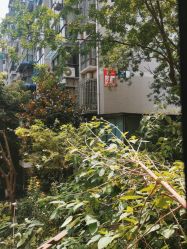 -SILKTONE诗丽堂美容