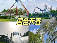 -老鼎万春卤菜(五代传承创始老店)