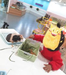 -Moni星球萌宠·小马宝莉·灵蛇·高端高阶全萌宠互动体验俱乐部(红豆国际广场店)
