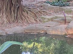 -晓港公园