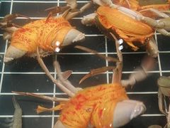 -印象天台·非遗文化美食