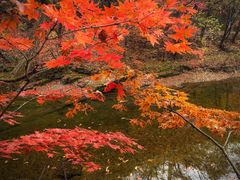 -关门山森林公园