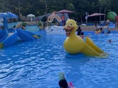 -重庆海昌加勒比海水世界