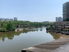 -棕榈泉国际花园1期