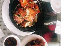 -大鹅岛绿色生态美食园