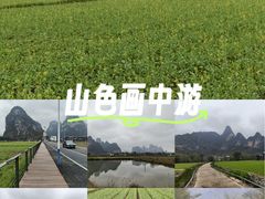 -明仕田园
