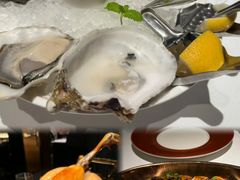 -Oyster Talks 四度蚝法餐厅