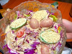 蔬菜沙拉-山之屋炭火烧肉·生啤畅饮(大朗万科中央公园店)