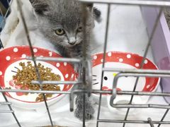 -宠颐生中康贝怡动物医院