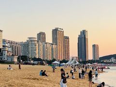 -山东大学(威海校区)