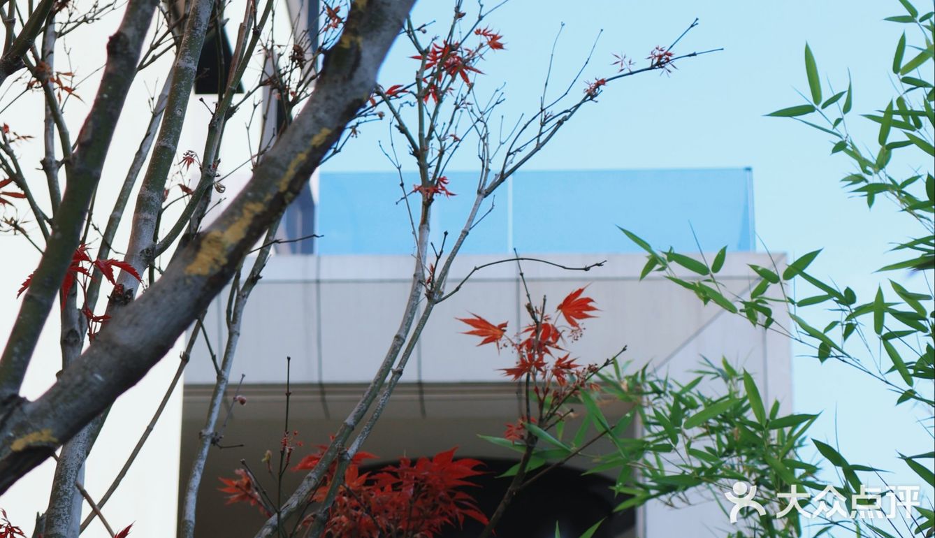 一秒梦回洱海|湖畔别墅区里咖啡店