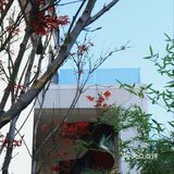 一秒梦回洱海|湖畔别墅区里咖啡店