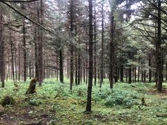 -硗碛藏寨·神木垒景区