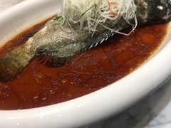 -禧宴Joyous Restaurant(禧园店)