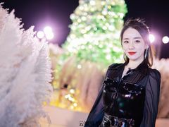 -鹏瑞莱佛士酒店·云璟 Yun Jing