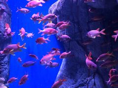 -成都浩海立方海洋公园