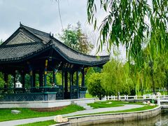 -东北农业大学