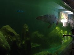 -广东惠东海龟国家级自然保护区
