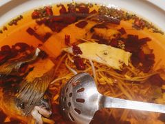 -宏宴·新京菜(望京店)