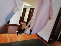 -Yvon yoga 瑜伽·精准体态管理中心