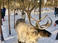 -北极村旅游风景区