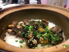 -红星光发煲仔饭(大石街店)
