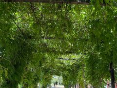 -武汉紫薇都市田园