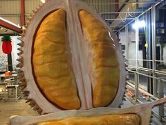 -都念榴莲·城市榴莲