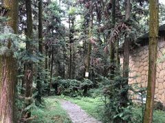 -象山森林公园