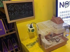 -解个谜沉浸剧情密室(天河店)