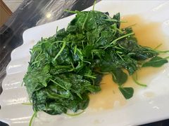 豆苗(草头）-王家沙点心店(南京西路总店)