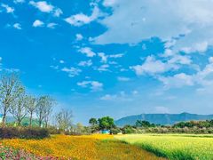 -光明小镇欢乐田园