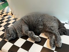 -茂业百货(东门店)