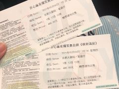 -合肥大剧院