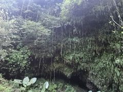 -海口火山口国家地质公园