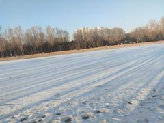 -森林公园(尖草坪区)