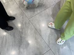 -悦宠动物医院(京丰分院)