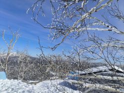 -大秃顶子山