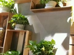 -比格比萨自助(密云店)