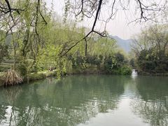 -龙坞茶村